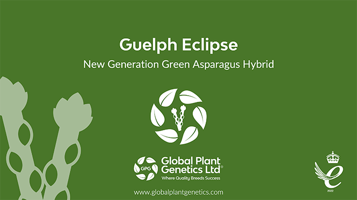 Guelph Eclipse