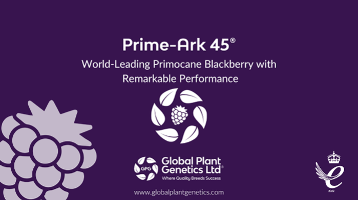 Prime-Ark® 45