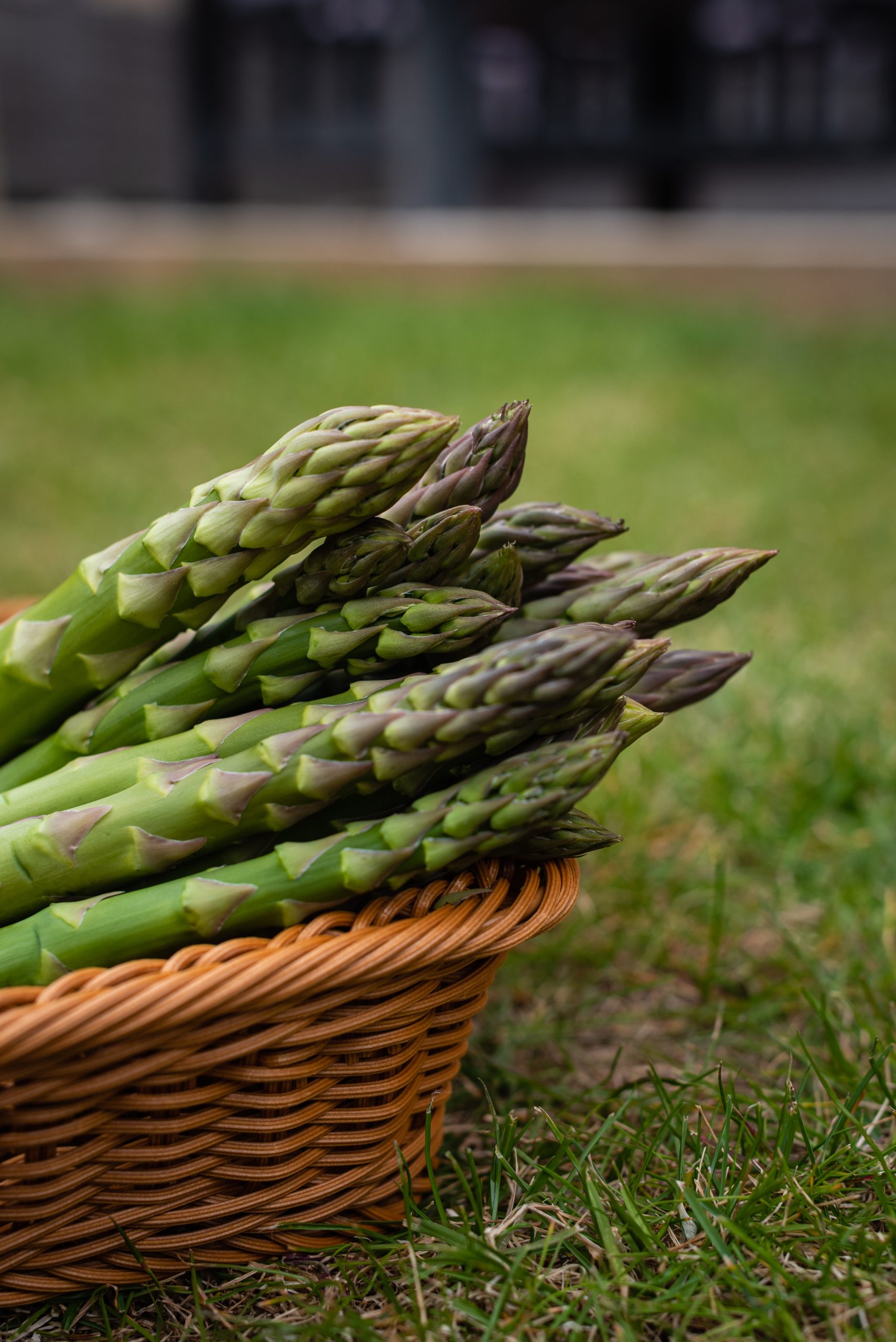 asparagus