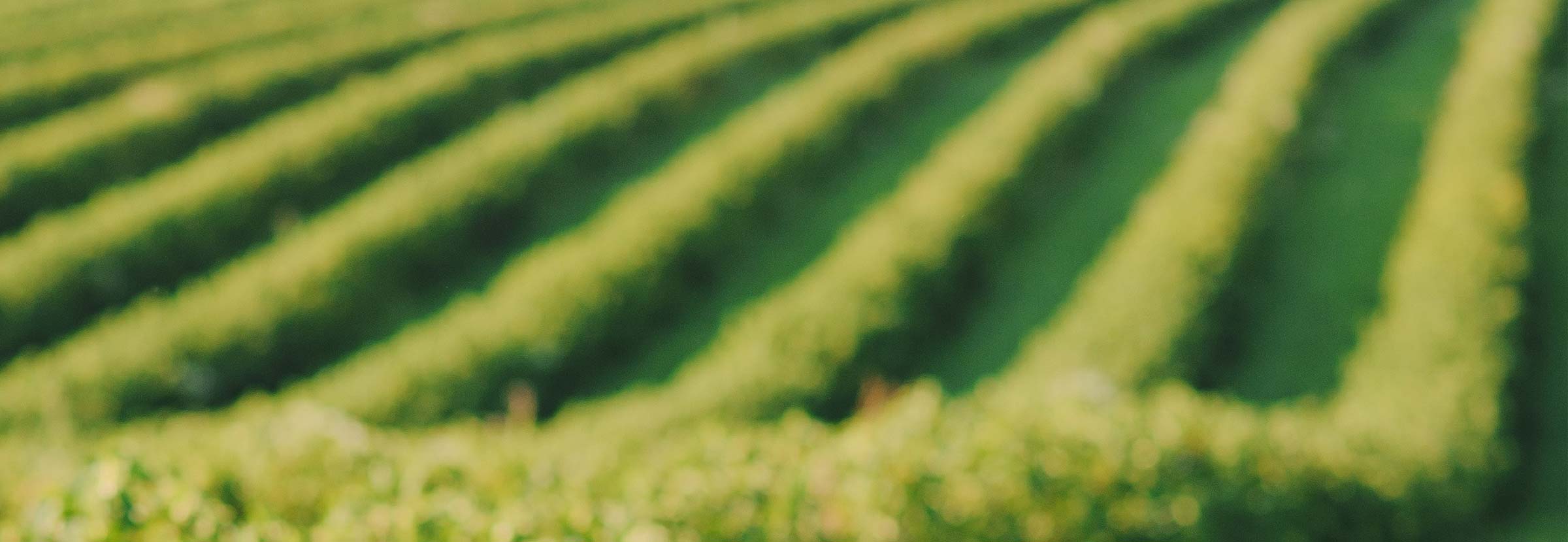 Need help finding the right crop for your business?