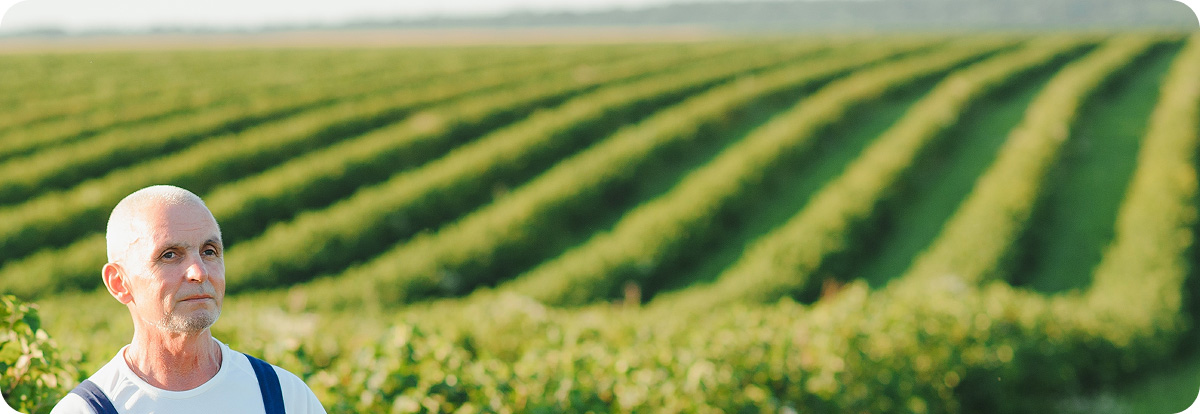 Need help finding the right crop for your business?