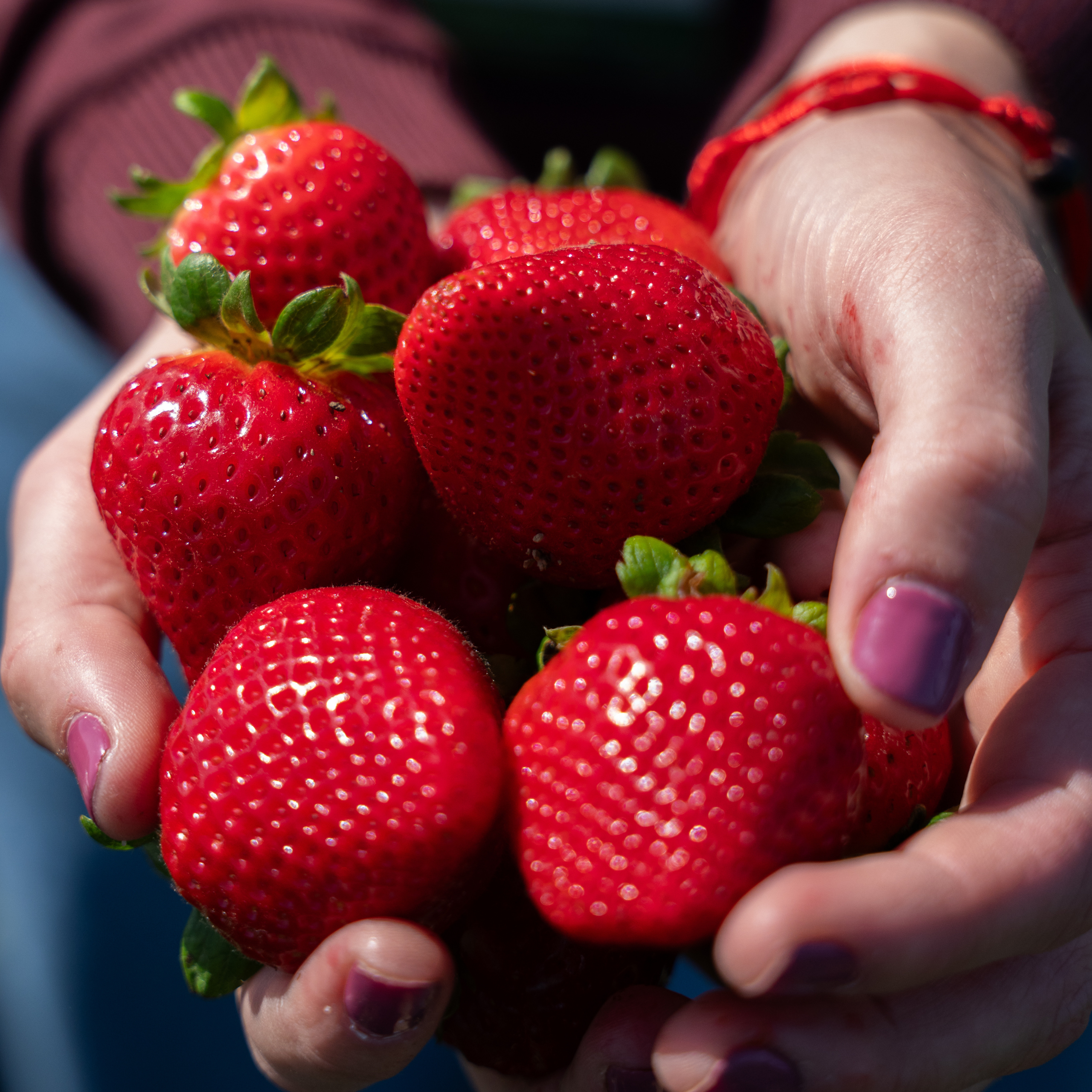 strawberry