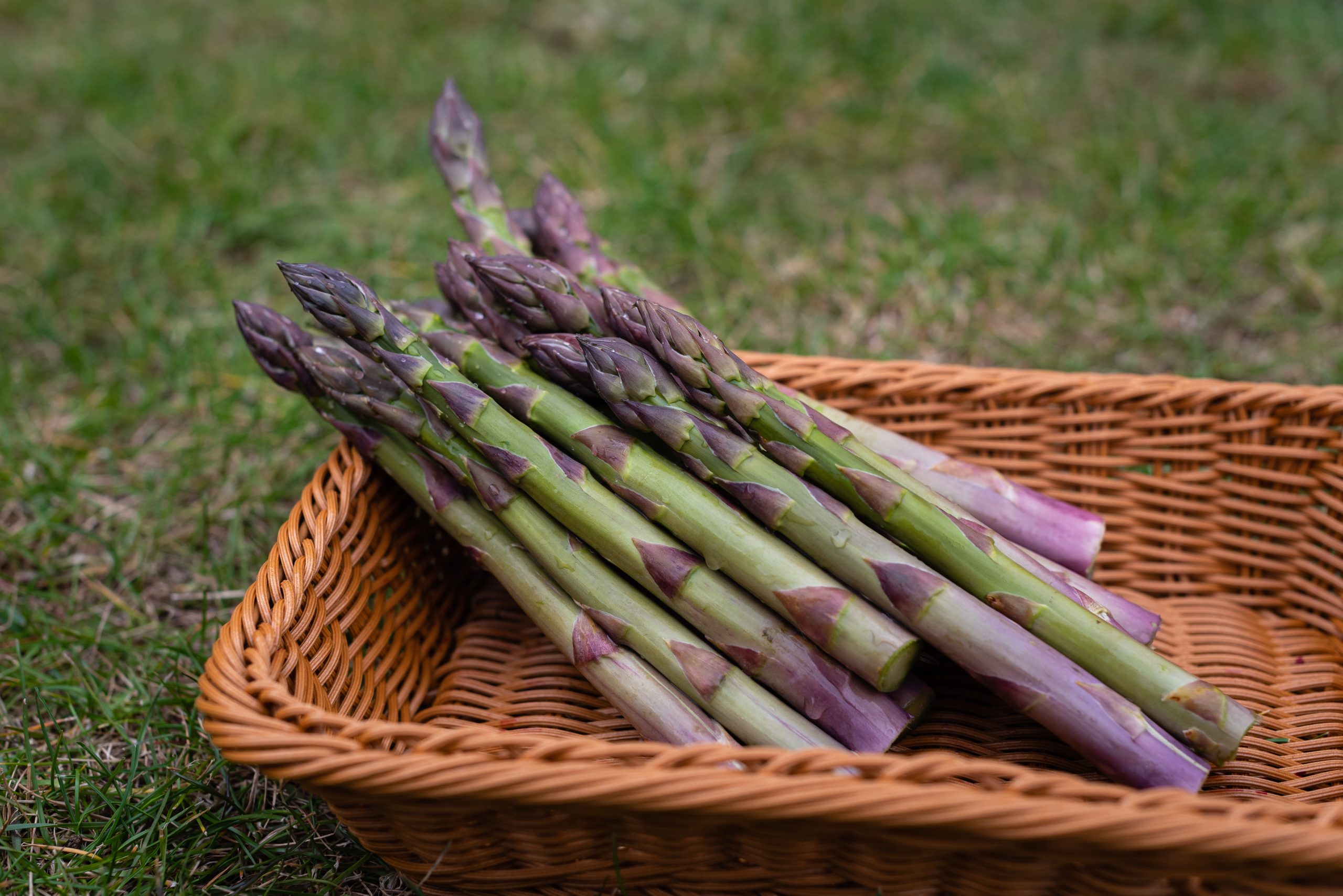asparagus