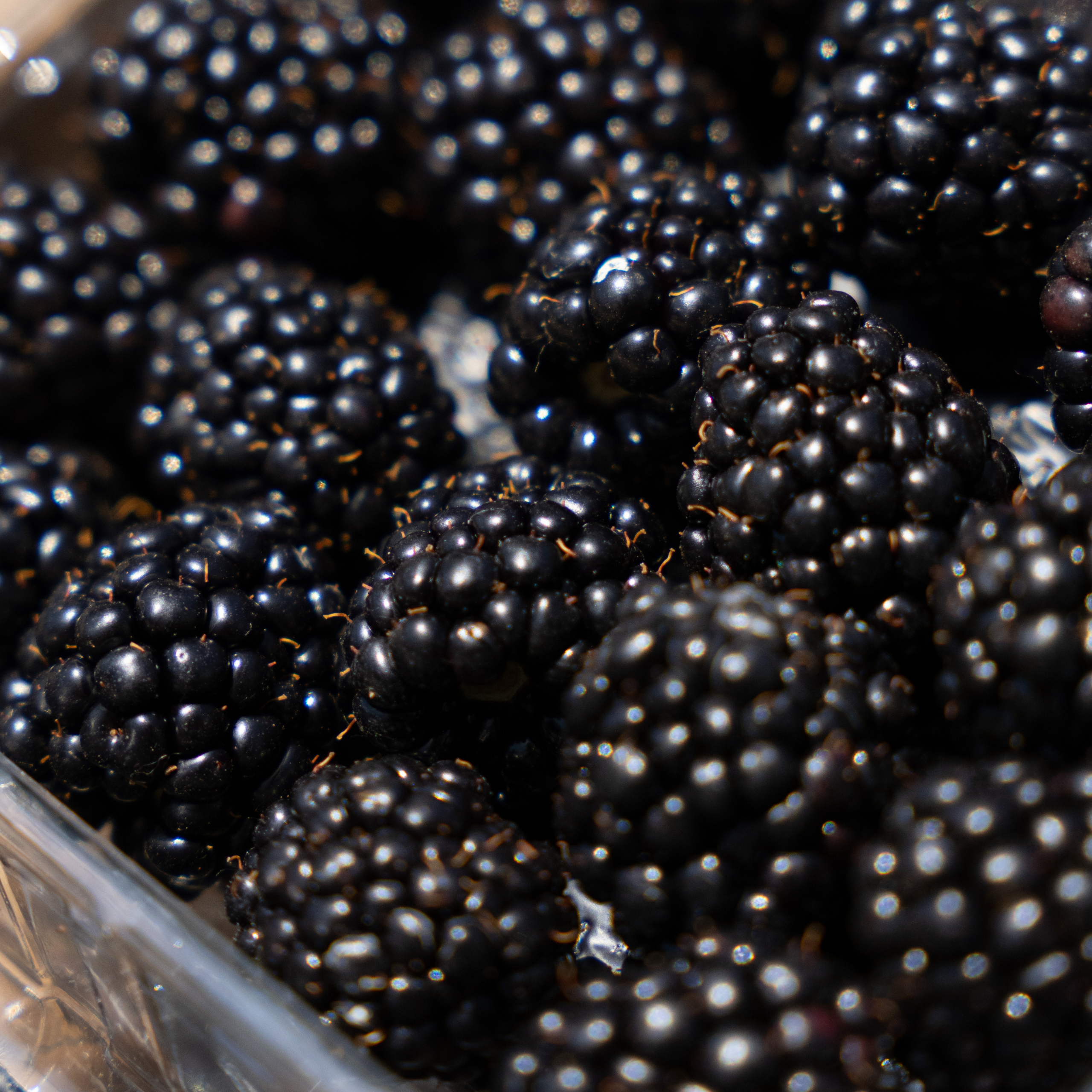blackberry