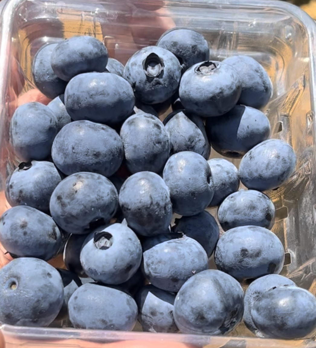 blueberry