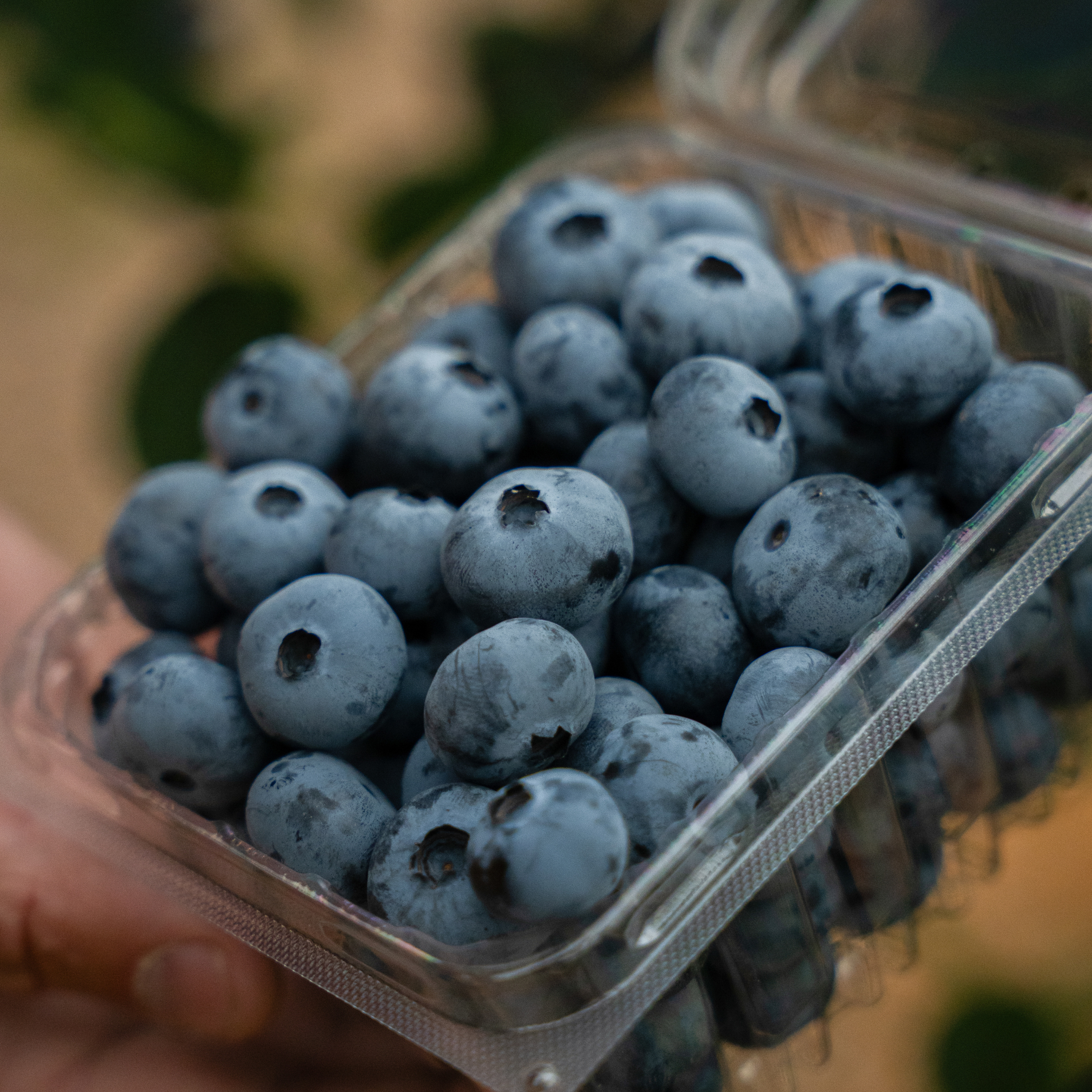 blueberry