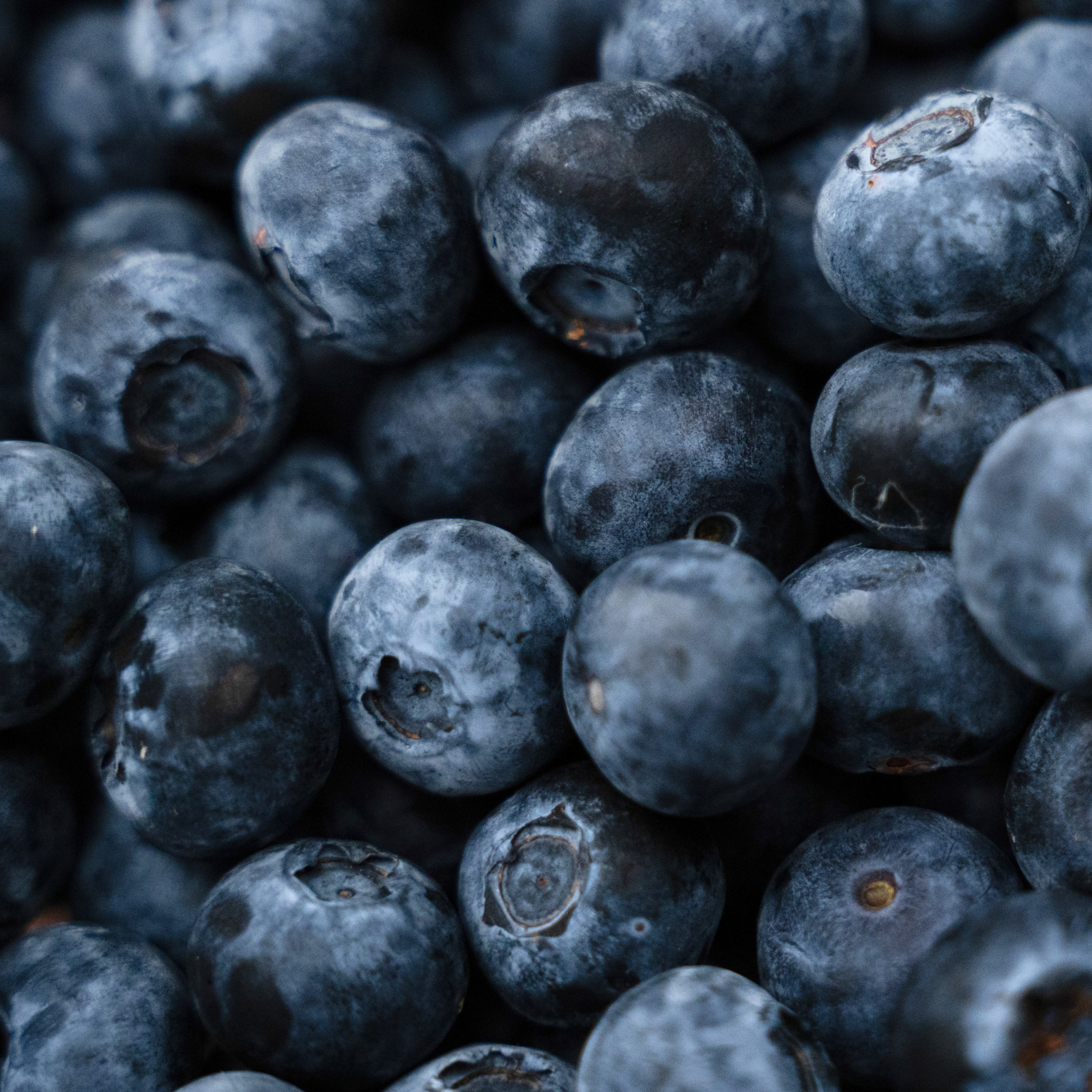 blueberry