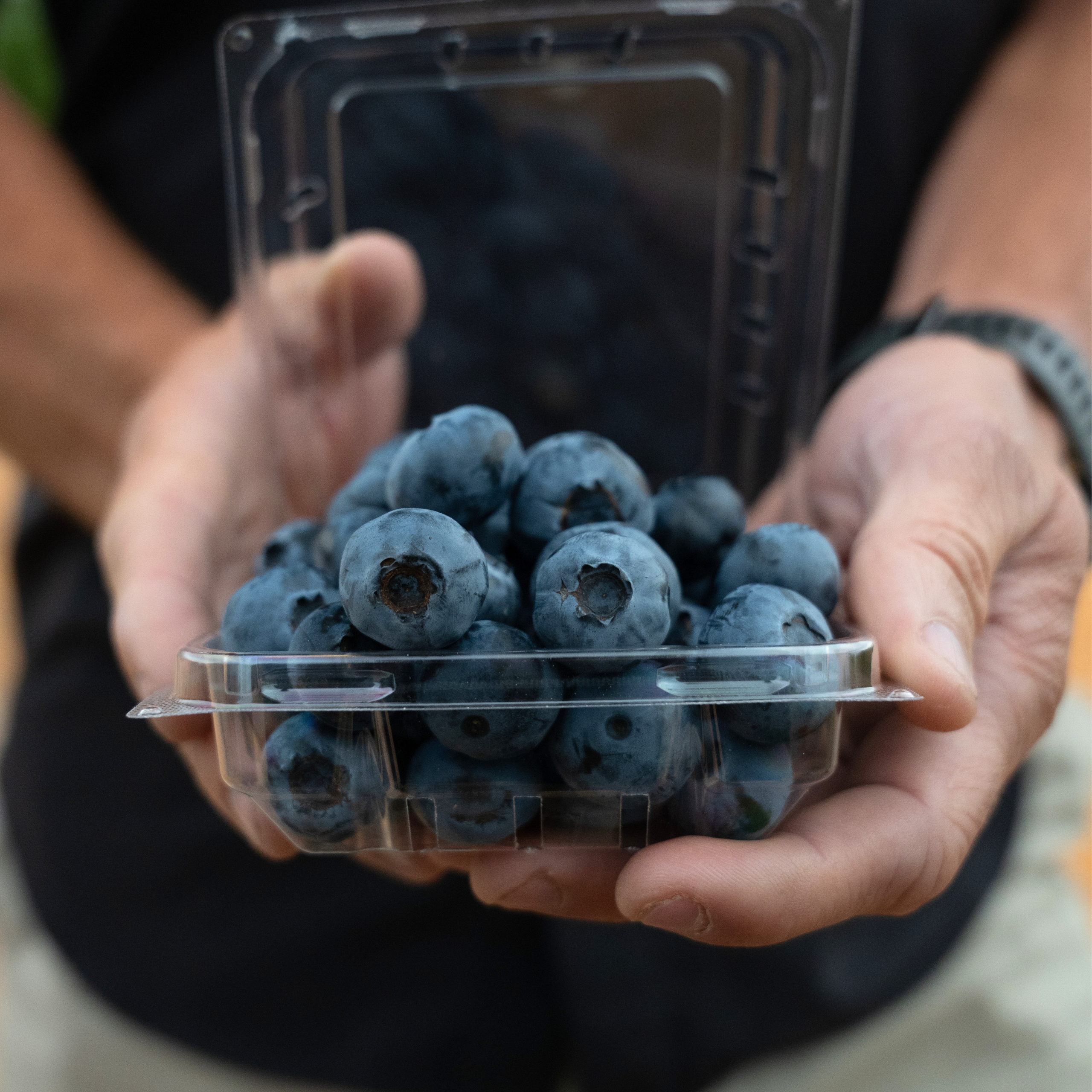 blueberry