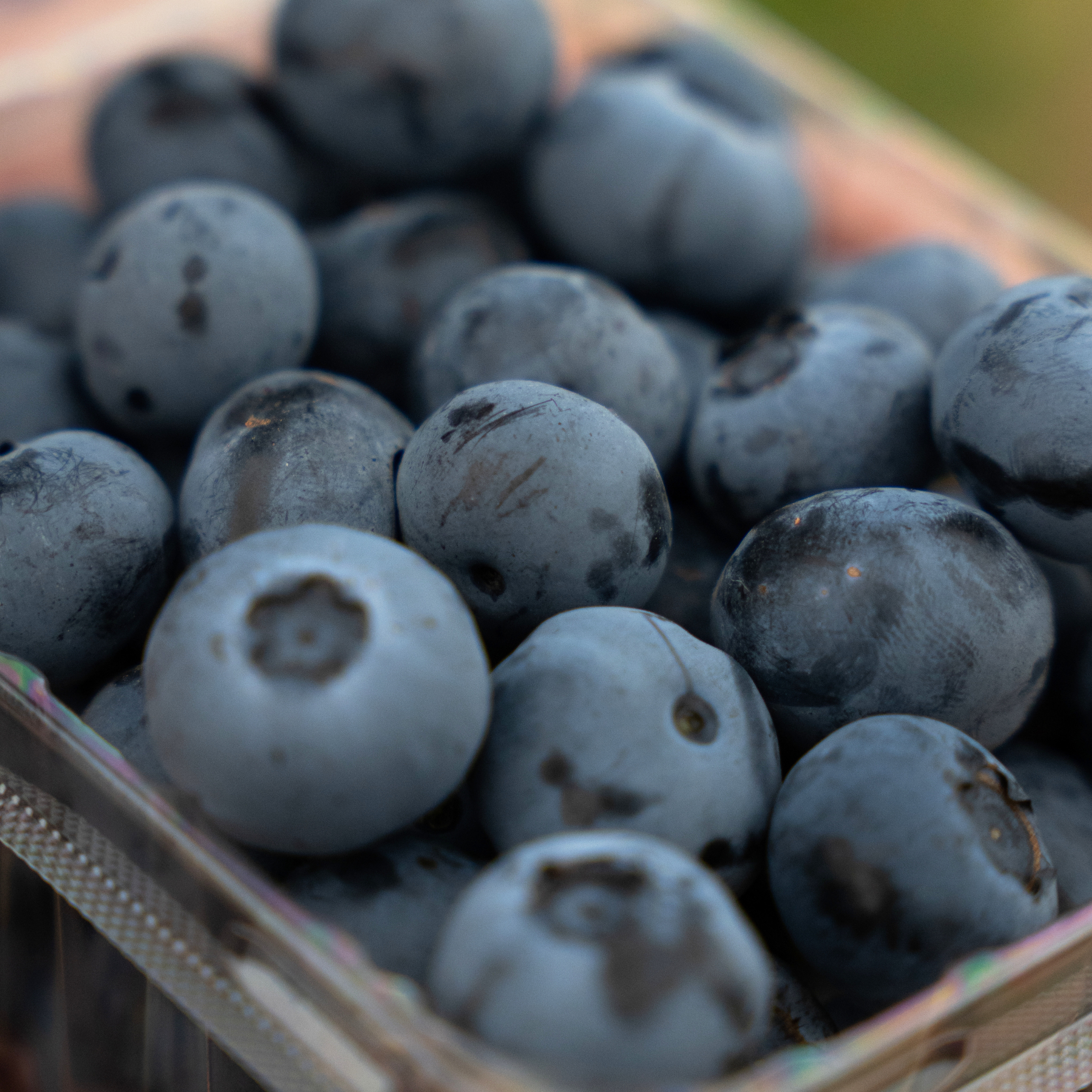 blueberry