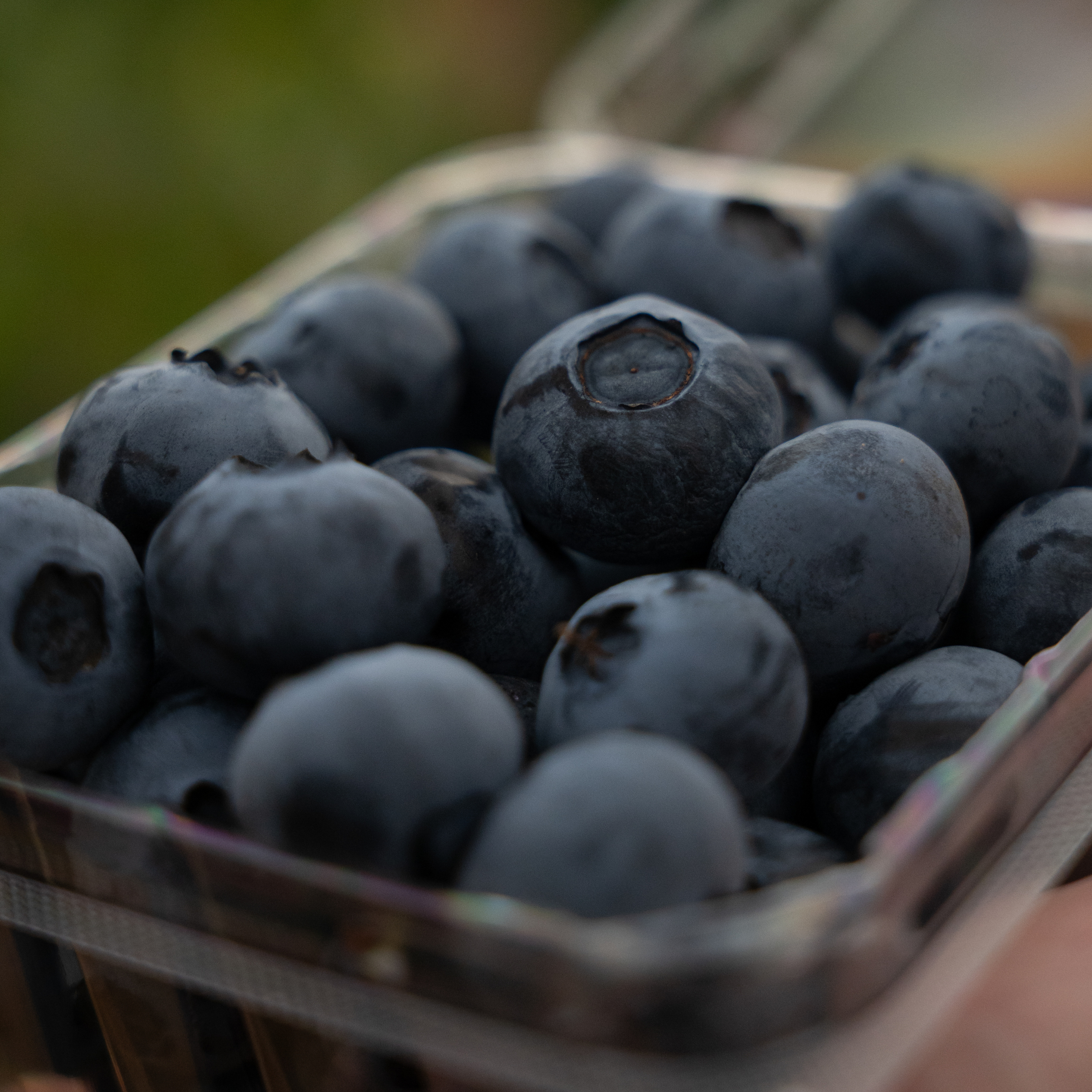blueberry