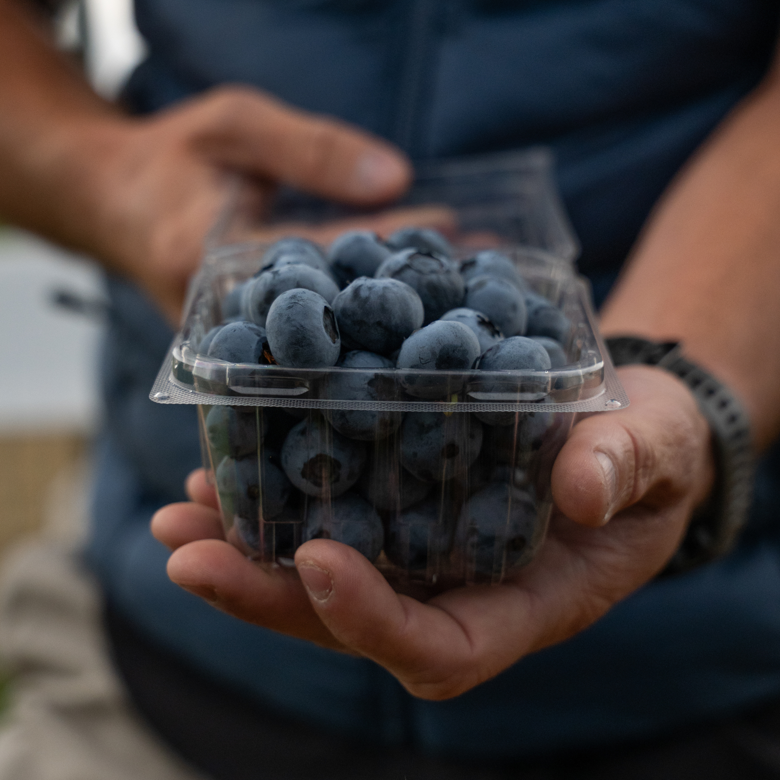 blueberry