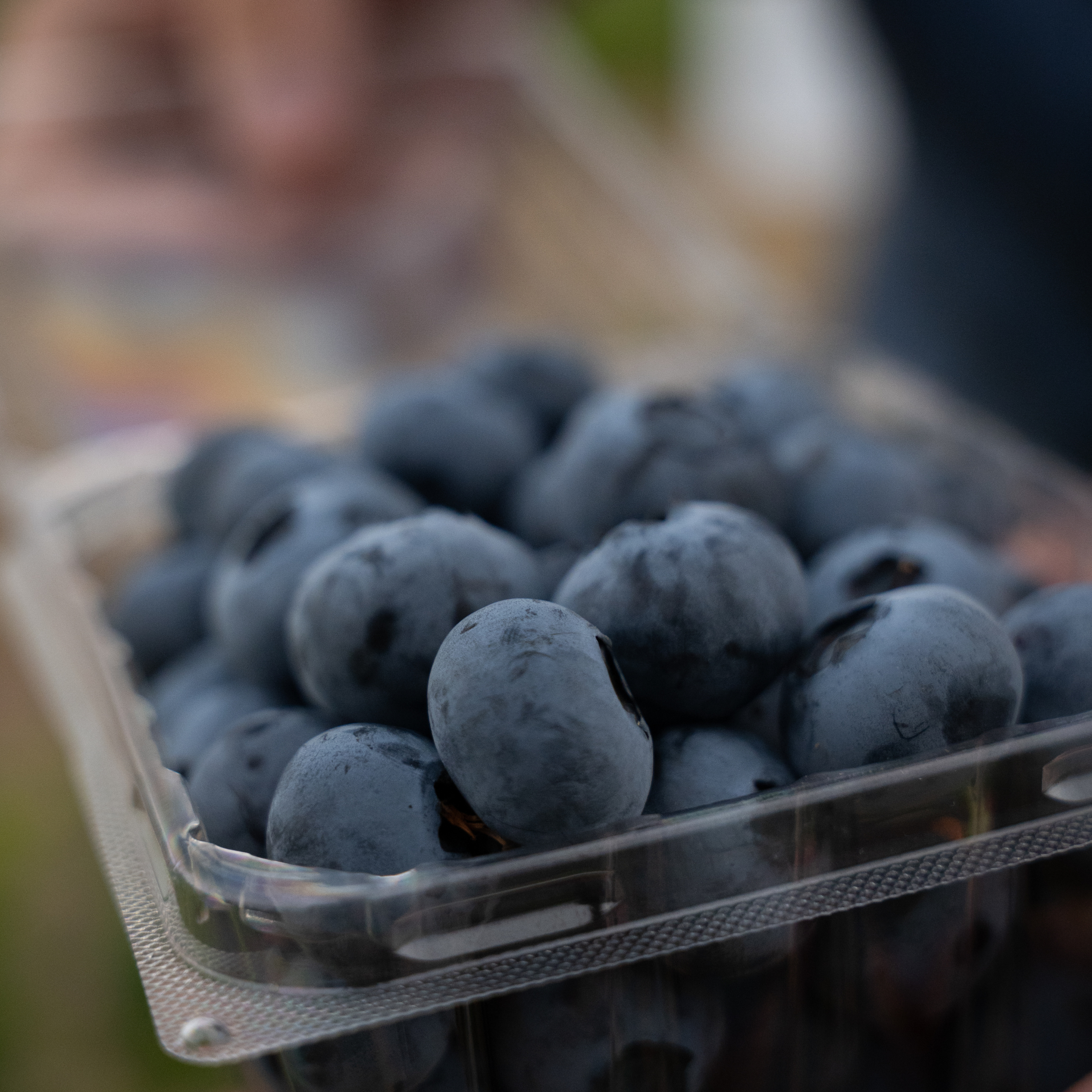blueberry